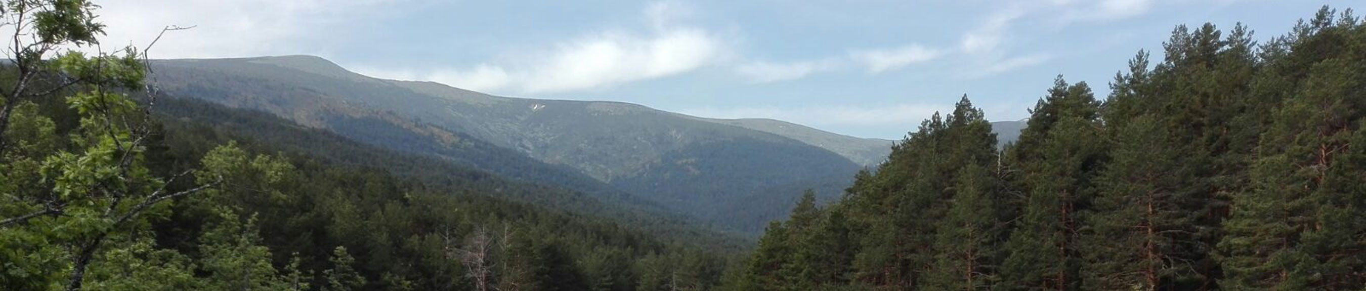 La Najarra