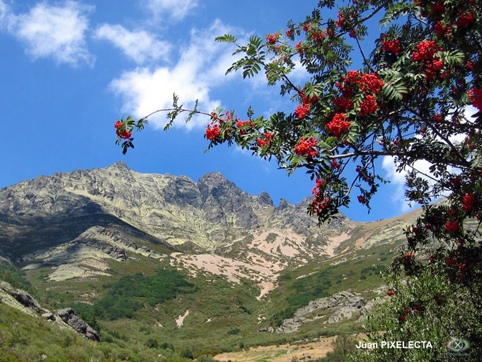 Ascensi&oacute;n al Curavacas. Foto: adcuravacas.wordpress.com/category/2014/hojas-de-ruta-2014/